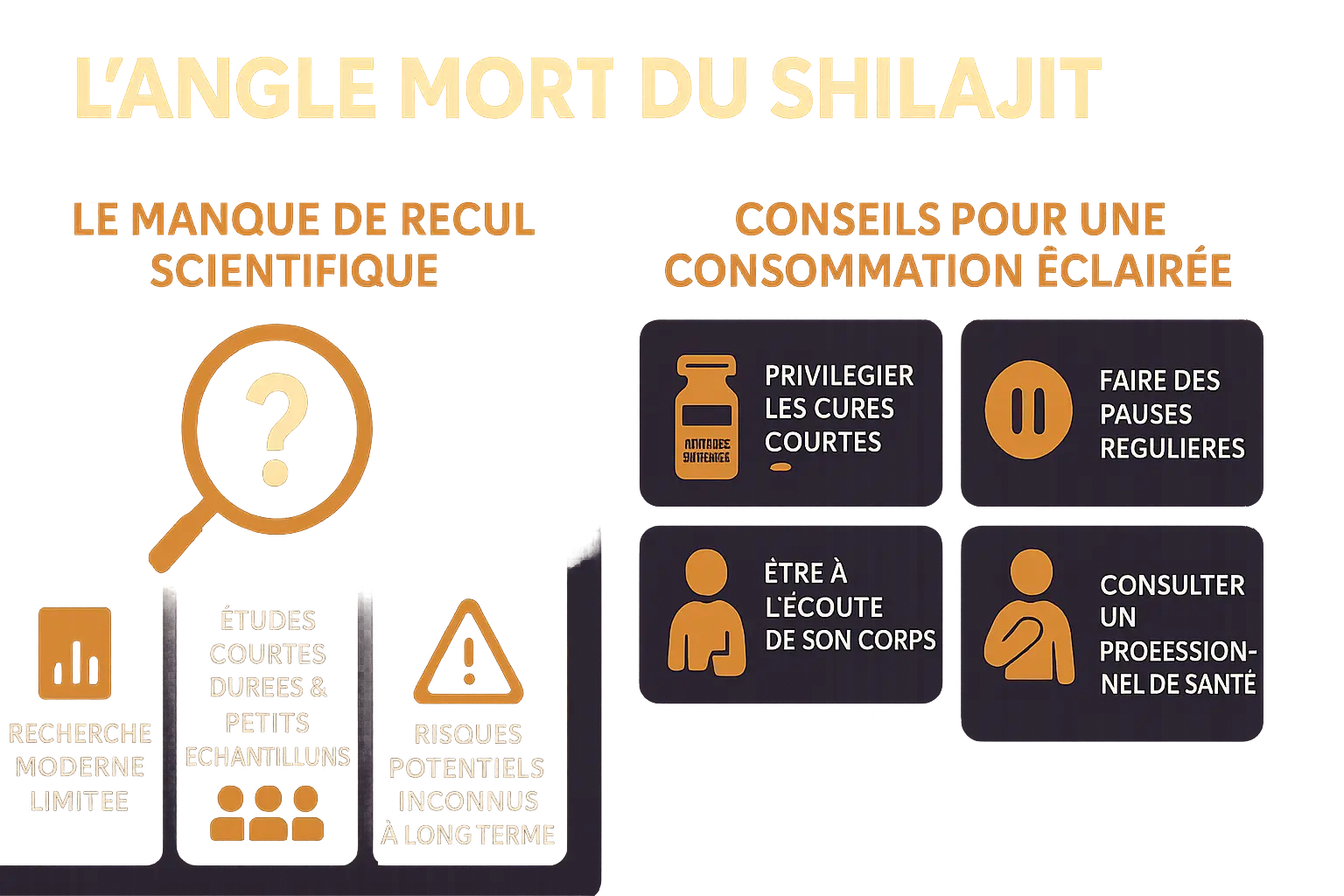Shilajit danger : à éviter pour troubles digestifs 8 61008f2e e88d 498c 96f2 de45b62a6baf