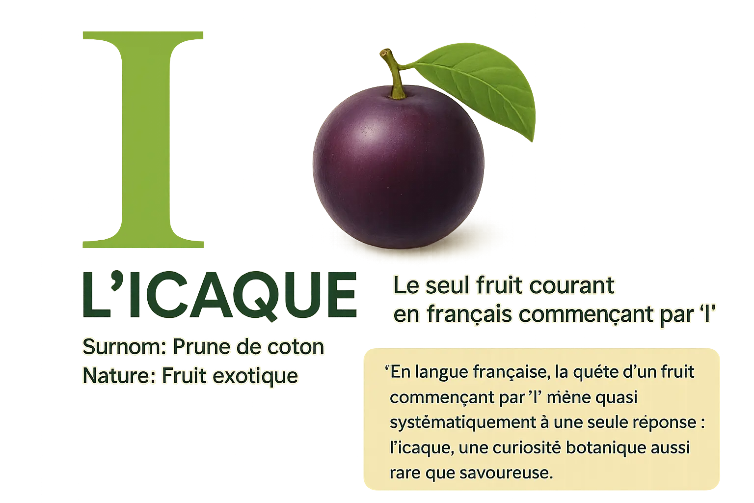 L'icaque : le seul fruit débutant par la lettre i 4 Icaque, la prune de coton