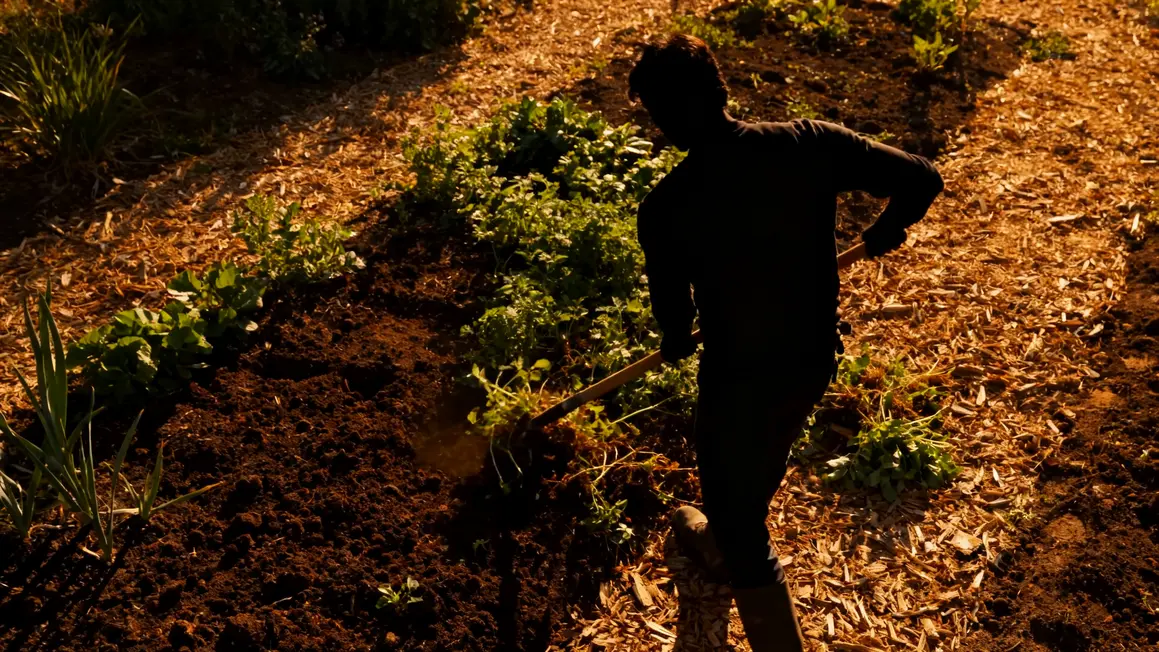 désherbant naturel : conseils concrets pour éviter les pièges 3 Désherbage naturel manuel paillage et couvre-sol